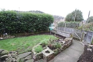 Garden- click for photo gallery